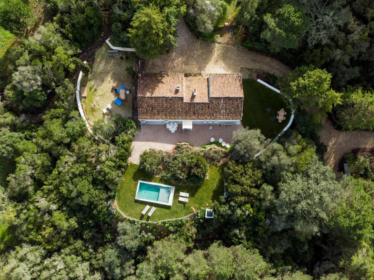 Quinta Da Arrabida Villa Sesimbra Exteriör bild
