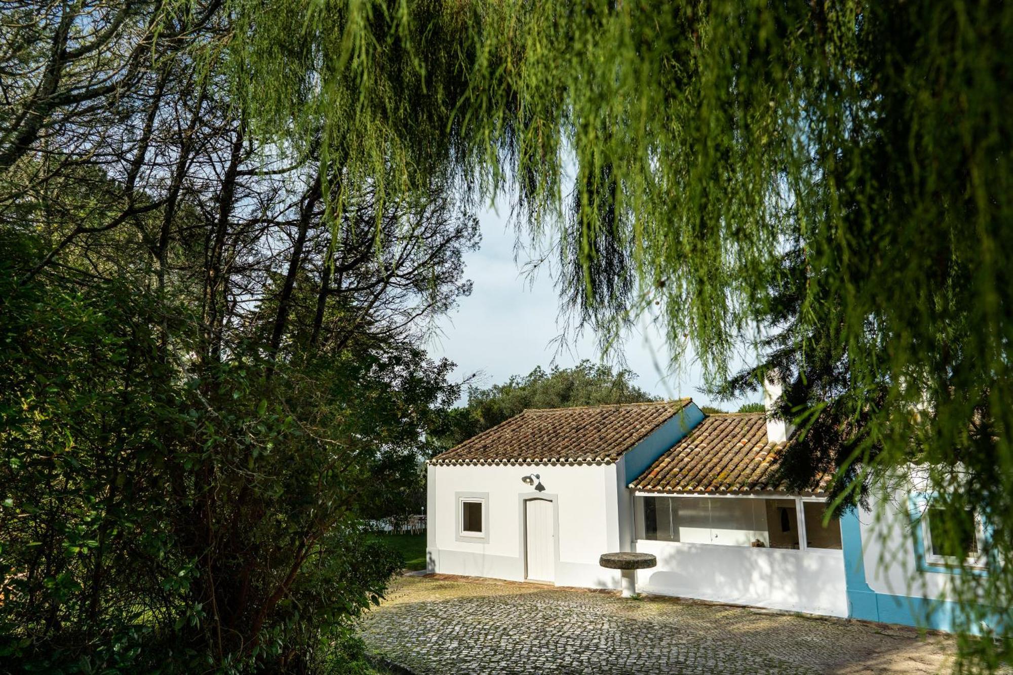 Quinta Da Arrabida Villa Sesimbra Rum bild